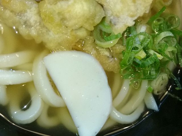 ごぼう天うどん(610円)_Renge
