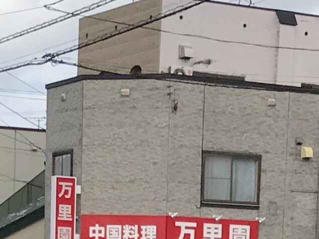 写真_万里園