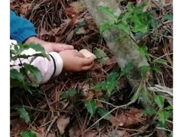しょうげんじ!
子どもがすごい速さで収穫してしまうので写真が撮れなーい!_あさひ農村振興協議会