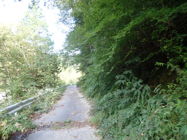 マイBOOさんの恵那山(広河原登山ルート)の投稿写真1