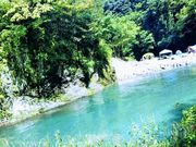 あきちゃんさんの道志の森キャンプ場の投稿写真1