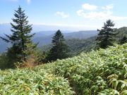 マイBOOさんの恵那山(広河原登山ルート)の投稿写真1