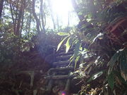 マイBOOさんの恵那山(広河原登山ルート)の投稿写真1