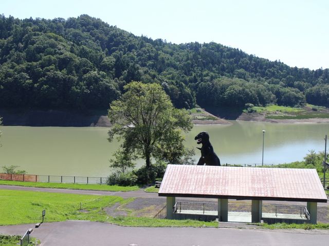 エゾミカサリュウ_桂沢湖(体験観光)