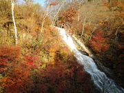 のほほん気分さんのしゃくなげの滝の投稿写真1