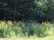 たかちゃんさんの坑口の投稿写真1