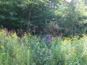 たかちゃんさんの坑口の投稿写真2