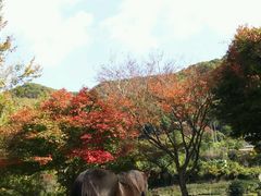 やまぴーさんのしおのえふじかわ牧場への投稿写真1