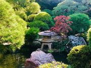 めのうさんの葛飾区山本亭の投稿写真5