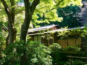 めのうさんの瑞泉寺の投稿写真3