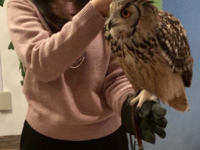 小型、中型、大型のフクロウがいましたが、大型の子と写真を撮りました。ハリーの気分を味わえました!_ふくろうのいる森カフェ名古屋栄店