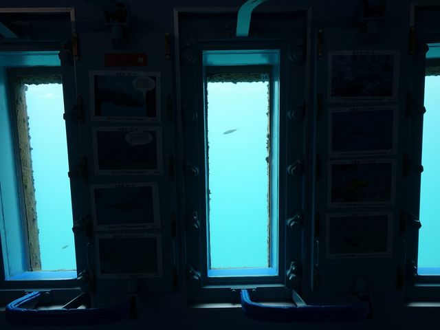 場所によって違う魚がいます_宮古島海中公園