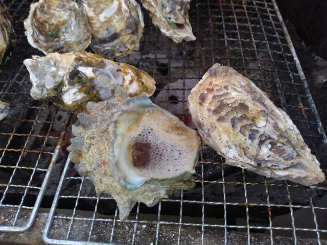 牡蠣にサザエ_のぶりん