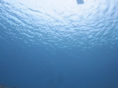 海ままさんのぷくぷく 宮古島への投稿写真1