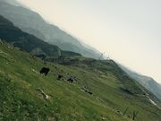 どらえもんさんの四国カルスト大野ヶ原の投稿写真1