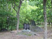 たかちゃんさんの丸山公園の投稿写真2