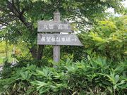 たかちゃんさんの丸加高原展望台の投稿写真4