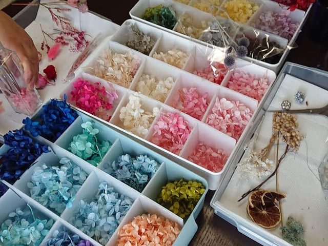 色とりどりの紫陽花達_Rera工房