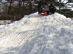 りんごさんの那須高原南ヶ丘牧場への投稿写真1
