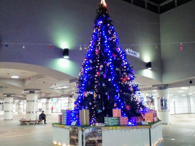 湘南台駅のツリー_小田急電鉄湘南台駅