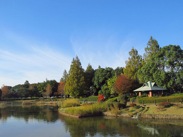 池_越谷総合公園