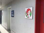 yu-kaさんの広島東洋カープ由宇練習場の投稿写真1