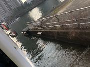 たださんの大阪ダックツアーの投稿写真1