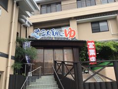 ドリルとゆう子さんのうれしの源泉 百年の湯への投稿写真1