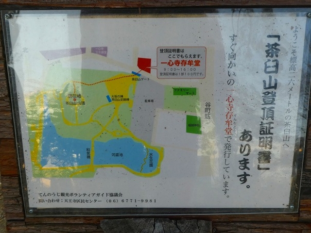 大阪市天王寺区・茶臼山_茶臼山