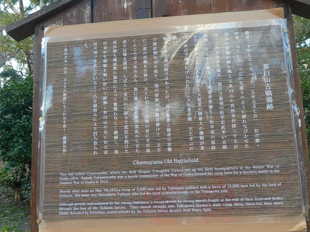 大阪市天王寺区・茶臼山_茶臼山