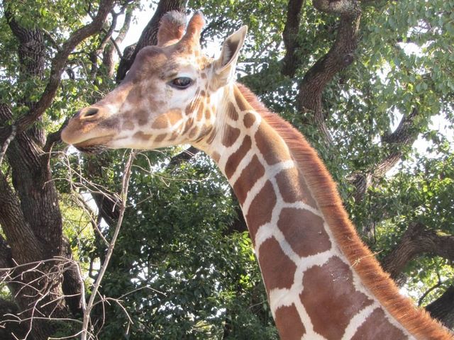 大牟田市動物園