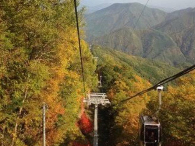 紅葉_富士見台高原(長野県阿智村)