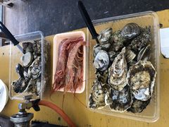 ひろちゃんカキの写真1