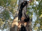 DoubleO7さんの天御中主神社の投稿写真2