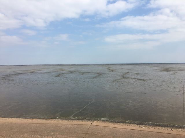 有明海の干潟 2018.2.2_有明海の干潟(肥前鹿島干潟)