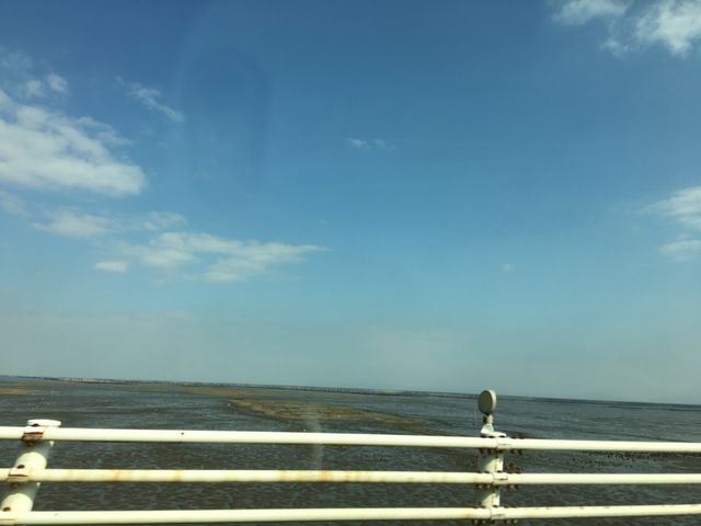 有明海 2018.2.2_有明海の干潟(肥前鹿島干潟)