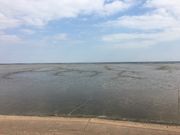 poporonさんの有明海の干潟(肥前鹿島干潟)の投稿写真1