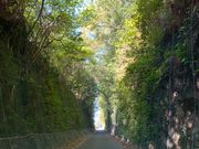 poporonさんの旧小浜鉄道跡の投稿写真2