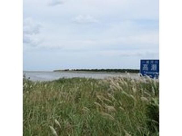 自然豊か_高瀬川