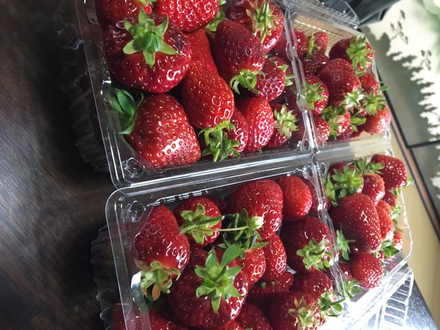 大量でした_吉村農園