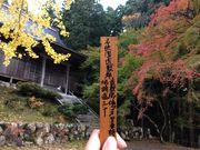 くりさんの萬徳寺の投稿写真2