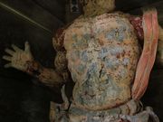 Yanwenliさんの明通寺の投稿写真3