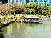 めのうさんの中島の御茶屋の投稿写真4