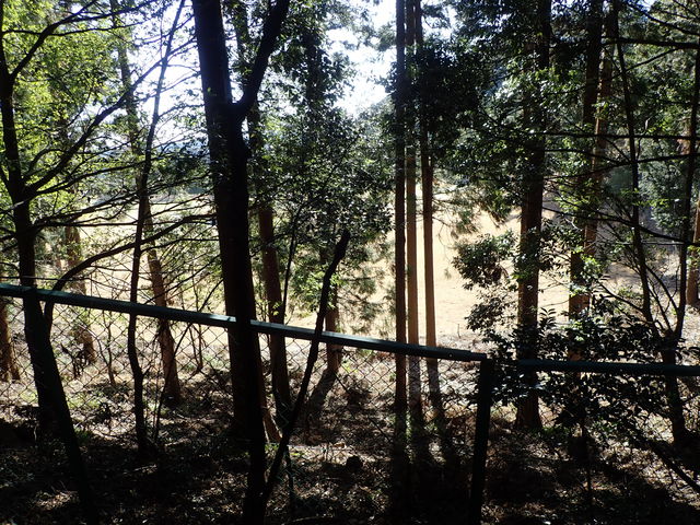 マイBOOさんの飯能グリーンカントリークラブの投稿写真1