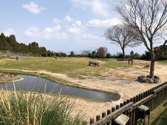 平川動物公園の写真1
