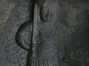 Yanwenliさんの福勝寺の投稿写真3