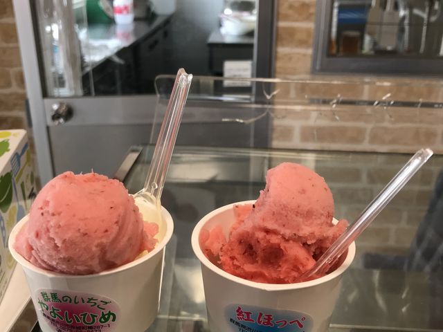 向きが。すいません。_須田いちご園