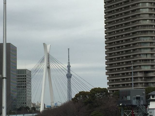中央大橋_中央大橋