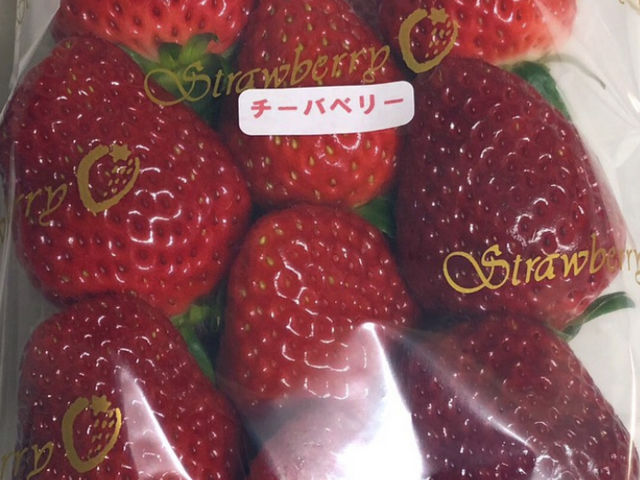 お土産のチーバベリー、ほんとに甘くて美味しかったです_さくだファミリー農園
