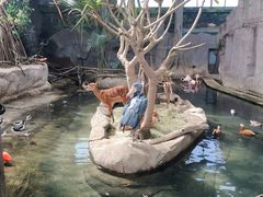 那須どうぶつ王国の写真1